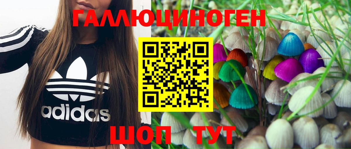 Галлюциногенные грибы MAGIC MUSHROOMS  Вход с VPN  Ярцево 